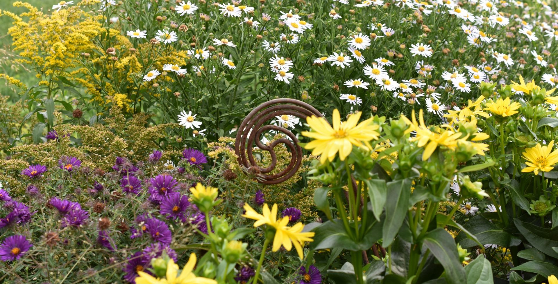 TEM Traditionelle Europäische Medizin im Garten.Ernährung